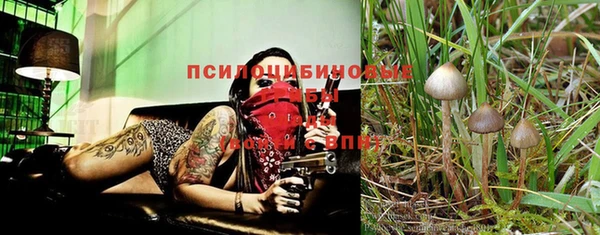 ПСИЛОЦИБИНОВЫЕ ГРИБЫ Ладушкин