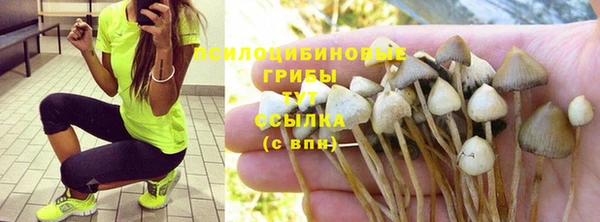 дмт Липки